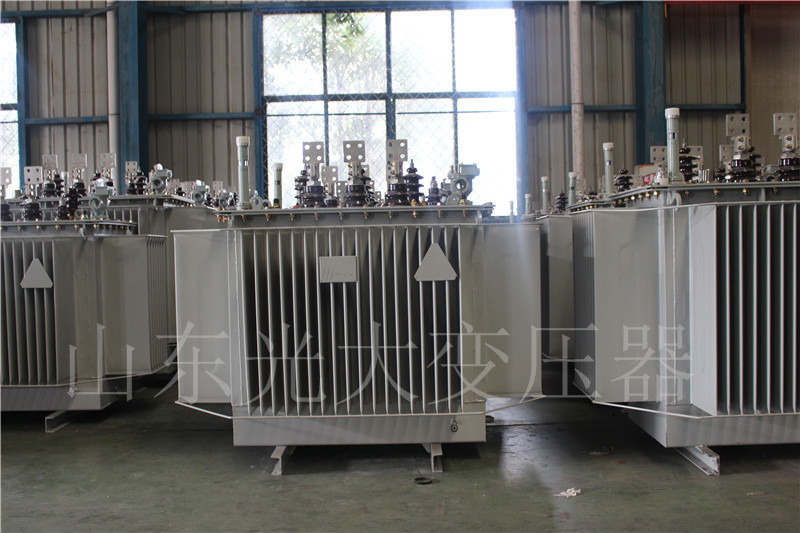 留坝S20-500KVA/10KV
